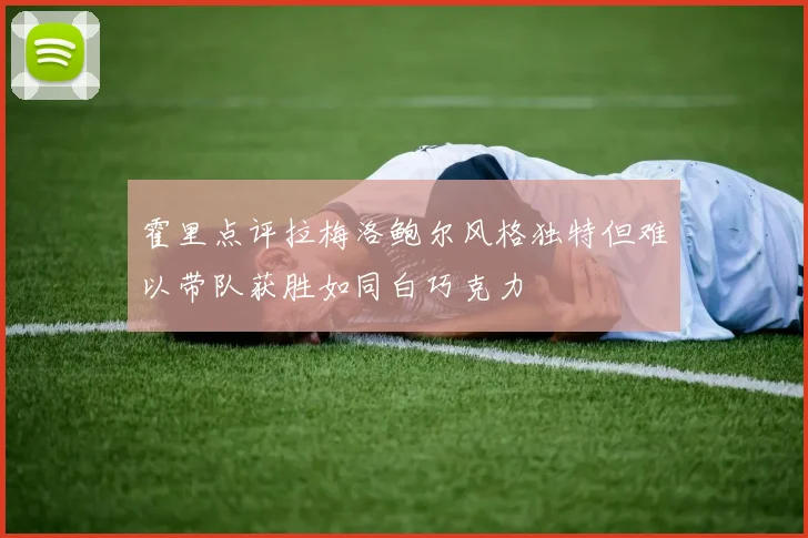霍里点评拉梅洛鲍尔风格独特但难以带队获胜如同白巧克力